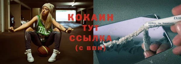 дмт Абинск