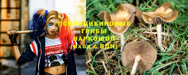 дмт Абинск