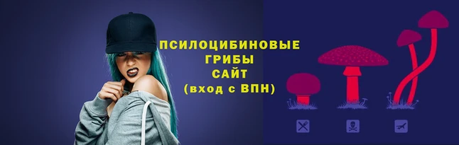 каннабис Алзамай