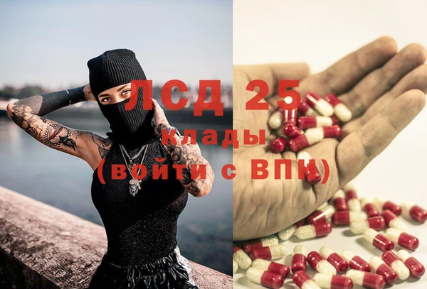 гидропоника Абаза